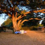 Robin Pope Mobile Walking Safari, Walking Safaris in Zambia, Walking in the South Luangwa, Walking with Jason Alfonsi, Walking trails in Africa, Nsefu camp, Nkwali Camp, best guides in Zambia