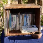 Robin Pope Mobile Walking Safari, Walking Safaris in Zambia, Walking in the South Luangwa, Walking with Jason Alfonsi, Walking trails in Africa, Nsefu camp, Nkwali Camp, best guides in Zambia