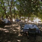 Robin Pope Mobile Walking Safari, Walking Safaris in Zambia, Walking in the South Luangwa, Walking with Jason Alfonsi, Walking trails in Africa, Nsefu camp, Nkwali Camp, best guides in Zambia