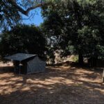 Robin Pope Mobile Walking Safari, Walking Safaris in Zambia, Walking in the South Luangwa, Walking with Jason Alfonsi, Walking trails in Africa, Nsefu camp, Nkwali Camp, best guides in Zambia