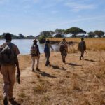 Robin Pope Mobile Walking Safari, Walking Safaris in Zambia, Walking in the South Luangwa, Walking with Jason Alfonsi, Walking trails in Africa, Nsefu camp, Nkwali Camp, best guides in Zambia