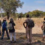 Robin Pope Mobile Walking Safari, Walking Safaris in Zambia, Walking in the South Luangwa, Walking with Jason Alfonsi, Walking trails in Africa, Nsefu camp, Nkwali Camp, best guides in Zambia