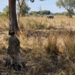 Robin Pope Mobile Walking Safari, Walking Safaris in Zambia, Walking in the South Luangwa, Walking with Jason Alfonsi, Walking trails in Africa, Nsefu camp, Nkwali Camp, best guides in Zambia