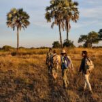 Robin Pope Mobile Walking Safari, Walking Safaris in Zambia, Walking in the South Luangwa, Walking with Jason Alfonsi, Walking trails in Africa, Nsefu camp, Nkwali Camp, best guides in Zambia