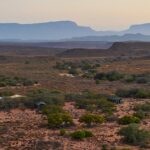 Sanbona Dwyka Tented Lodge, Dwyka camp, Sanbona Explorer Camp, Sanbona walking safari