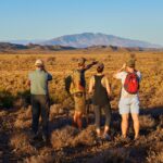 Sanbona Dwyka Tented Lodge, Dwyka camp, Sanbona Explorer Camp, Sanbona walking safari