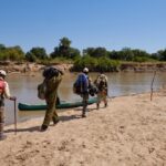 Chikoko Trails, walking safaris in Zambia, walking safari in the South Luangwa National Park, Chikoko Tree Camp, Crocodile River camp, Remote Africa Safaris