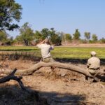 Chikoko Trails, walking safaris in Zambia, walking safari in the South Luangwa National Park, Chikoko Tree Camp, Crocodile River camp, Remote Africa Safaris