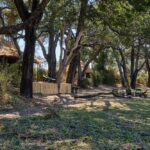 Chikoko Trails, walking safaris in Zambia, walking safari in the South Luangwa National Park, Chikoko Tree Camp, Crocodile River camp, Remote Africa Safaris