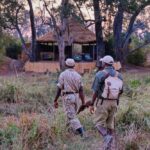 Chikoko Trails, walking safaris in Zambia, walking safari in the South Luangwa National Park, Chikoko Tree Camp, Crocodile River camp, Remote Africa Safaris