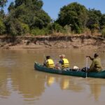Chikoko Trails, walking safaris in Zambia, walking safari in the South Luangwa National Park, Chikoko Tree Camp, Crocodile River camp, Remote Africa Safaris
