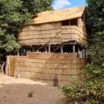 Chikoko Trails, walking safaris in Zambia, walking safari in the South Luangwa National Park, Chikoko Tree Camp, Crocodile River camp, Remote Africa Safaris