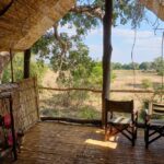 Chikoko Trails, walking safaris in Zambia, walking safari in the South Luangwa National Park, Chikoko Tree Camp, Crocodile River camp, Remote Africa Safaris