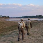 Chikoko Trails, walking safaris in Zambia, walking safari in the South Luangwa National Park, Chikoko Tree Camp, Crocodile River camp, Remote Africa Safaris