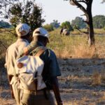 Chikoko Trails, walking safaris in Zambia, walking safari in the South Luangwa National Park, Chikoko Tree Camp, Crocodile River camp, Remote Africa Safaris