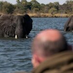 Musekese Camp, Jeffrey and McKeith Safaris, Walking Safaris in Kafue, Best camps in Kafue