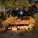 Mwaleshi Camp, walking safaris in Zambia, walking in the North Luangwa National Park, Remote Africa Safaris, Takwela Camp