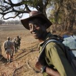 Chikoko Trails, walking safaris in Zambia, walking safari in the South Luangwa National Park, Chikoko Tree Camp, Crocodile River camp, Remote Africa Safaris