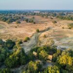 Chikoko Trails, walking safaris in Zambia, walking safari in the South Luangwa National Park, Chikoko Tree Camp, Crocodile River camp, Remote Africa Safaris