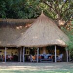 Tafika Camp, Accommodation in the South Luangwa National Park, best camps in Zambia, remote Africa Safaris, walking safaris in Zambia