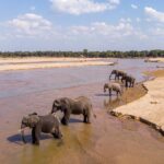 Mwaleshi Camp, walking safaris in Zambia, walking in the North Luangwa National Park, Remote Africa Safaris, Takwela Camp