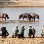 Mwaleshi Camp, walking safaris in Zambia, walking in the North Luangwa National Park, Remote Africa Safaris, Takwela Camp