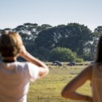 Musekese Camp, Jeffrey and McKeith Safaris, Walking Safaris in Kafue, Best camps in Kafue