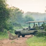 Muchenje Safari Lodge, safari in Chobe, visit Chobe Forest Reserve, luxury safaris in Chobe
