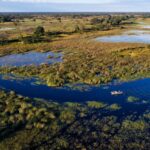 Safari in the Okavango, walking safaris in Botswana, Walk in the Okavango, Mapula Lodge, Mapula Lodge Rates