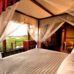 Safari in the Okavango, walking safaris in Botswana, Walk in the Okavango, Mapula Lodge, Mapula Lodge Rates