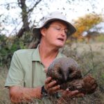 Mundulea Nature Reserve, Mundulea Bush Camp, Bruno Nebe, Pangolins in Namibia, Walking safari in Namibia, Best guides in Namibia