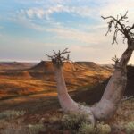 Etendeka Mountain Camp, Etendeka Walking Trail, Walking in Namibia, Self drive tour in Namibia, Hiking in the Kaokoveld