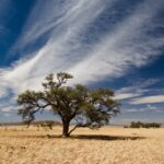 Mobile camping safari in Damaraland, walking safaris in Namibia, Hiking in Namibia, Hiking at Sossusvlei and Dead Vlei, Overland in Namibia, 4x4 trips in Namibia