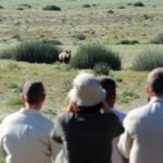 Guided safaris in Namibia, Namibia Mobile Safari, Discover the Kaokoveld, Explore the Kaokoveld, Walk with rhino in Namibia, Ovahimba tours, Visit the Himba, Travel to Epupa, North Namibia Overland