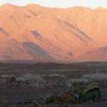 Mobile camping safari in Damaraland, walking safaris in Namibia, Hiking in Namibia, Hiking at Sossusvlei and Dead Vlei, Overland in Namibia, 4x4 trips in Namibia