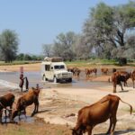 Guided safaris in Namibia, Namibia Mobile Safari, Discover the Kaokoveld, Explore the Kaokoveld, Walk with rhino in Namibia, Ovahimba tours, Visit the Himba, Travel to Epupa, North Namibia Overland