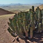 Mobile camping safari in Damaraland, walking safaris in Namibia, Hiking in Namibia, Hiking at Sossusvlei and Dead Vlei, Overland in Namibia, 4x4 trips in Namibia