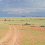 Guided safaris in Namibia, Namibia Mobile Safari, Discover the Kaokoveld, Explore the Kaokoveld, Walk with rhino in Namibia, Ovahimba tours, Visit the Himba, Travel to Epupa, North Namibia Overland