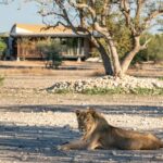 Guided safaris in Namibia, Namibia Mobile Safari, Discover the Kaokoveld, Explore the Kaokoveld, Walk with rhino in Namibia, Ovahimba tours, Visit the Himba, Travel to Epupa, North Namibia Overland