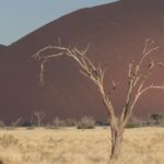 Mobile camping safari in Damaraland, walking safaris in Namibia, Hiking in Namibia, Hiking at Sossusvlei and Dead Vlei, Overland in Namibia, 4x4 trips in Namibia