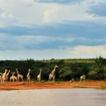 Mundulea Bush Camp, Mundulea Nature Reserve, walking safaris in Namibia, Bruno Nebe, Turnstone Tours